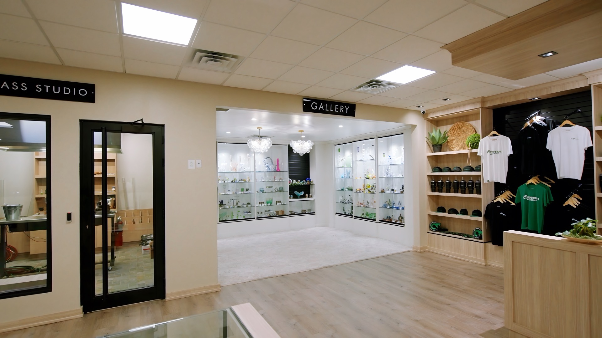 Ultra-wide view of Cottonmouth Dispensary glass art gallery